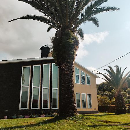 Apartament Palmtree 37 Al Praia da Vitória Zewnętrze zdjęcie