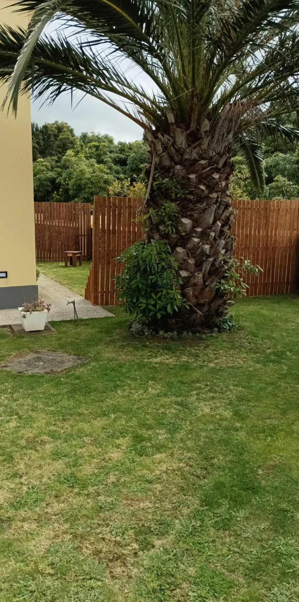 Apartament Palmtree 37 Al Praia da Vitória Pokój zdjęcie